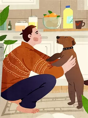 分割猪肉视频