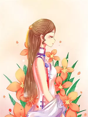 锦绣大明 小说