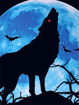 星陨王国魔法复兴录林玄夜林玄夜免费阅读全文_热门小说大全星陨王国魔法复兴录林玄夜林玄夜