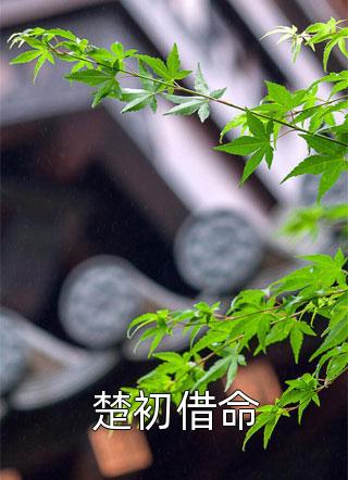 重生大夏，我被皇兄当成眼中钉优质全文阅读